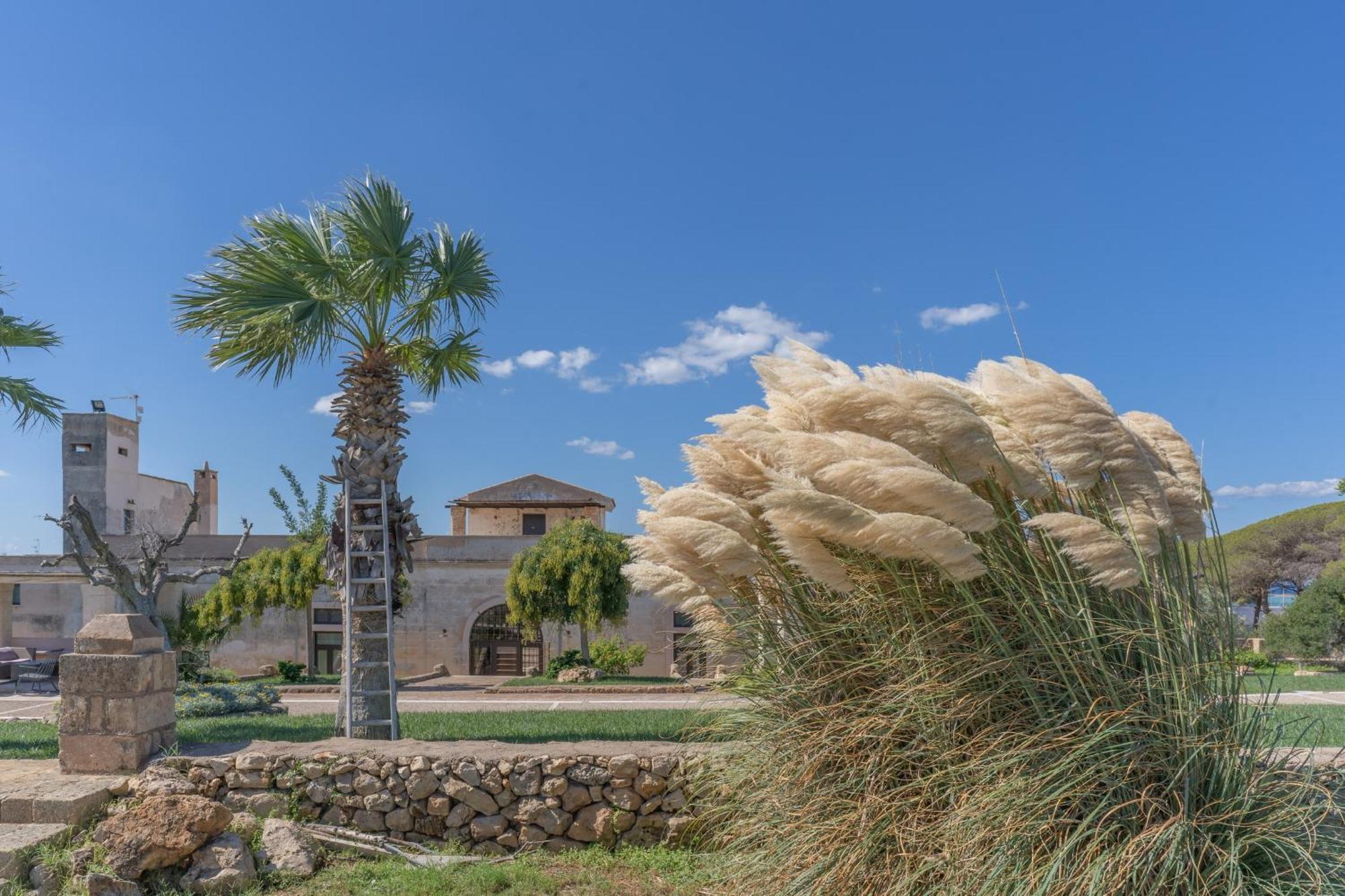 Masseria Casina Bellanova Porto Cesareo Zewnętrze zdjęcie